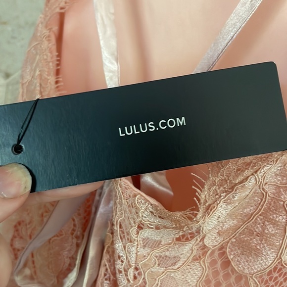 NEW NWT Blush Pink Lace Midi Dress with satin ribbon ties at back - Picture 9 of 9